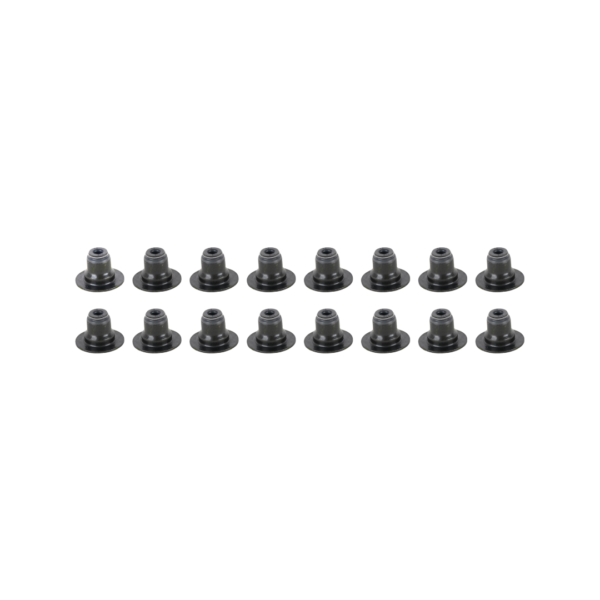 96440146-KT